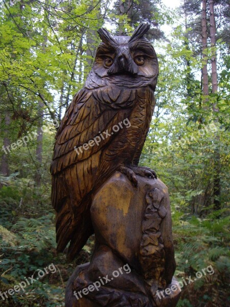 Sculpture Art Wood Owl Forest