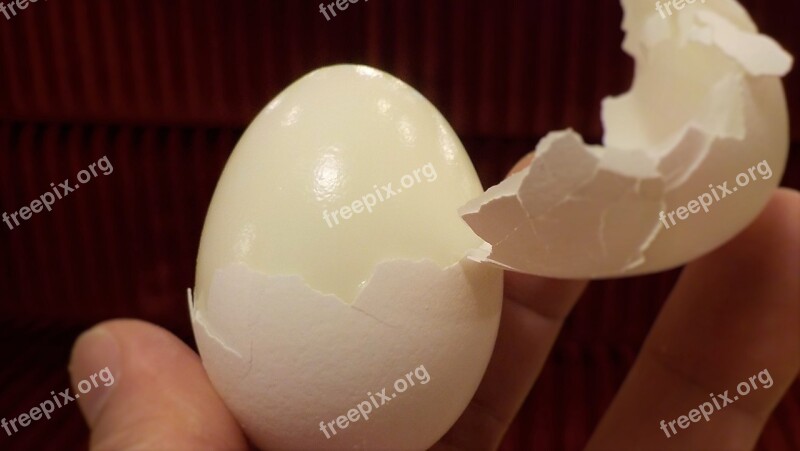 Hard Boiled Eggs Crack Shell Break Free Photos