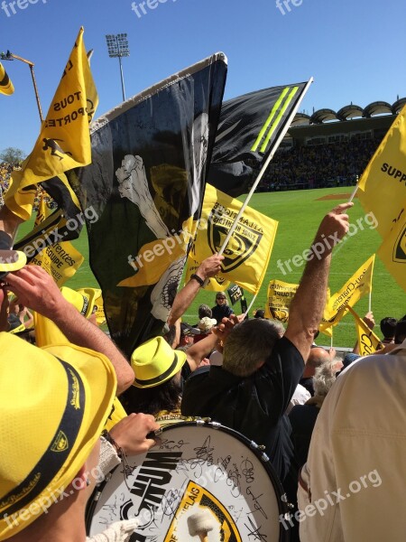 Rugby Yellow Rochelle La Fans Sector Fan