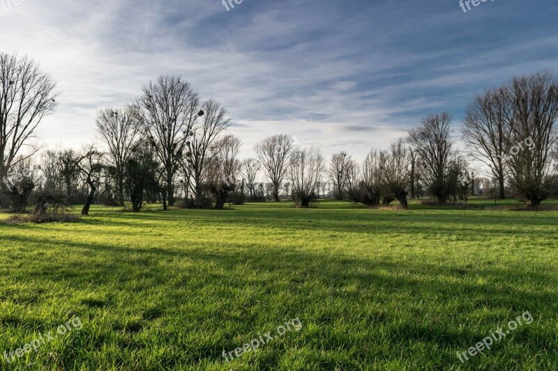 Pasture Kämpe Urdenbacher Champion Flood Nature Reserve