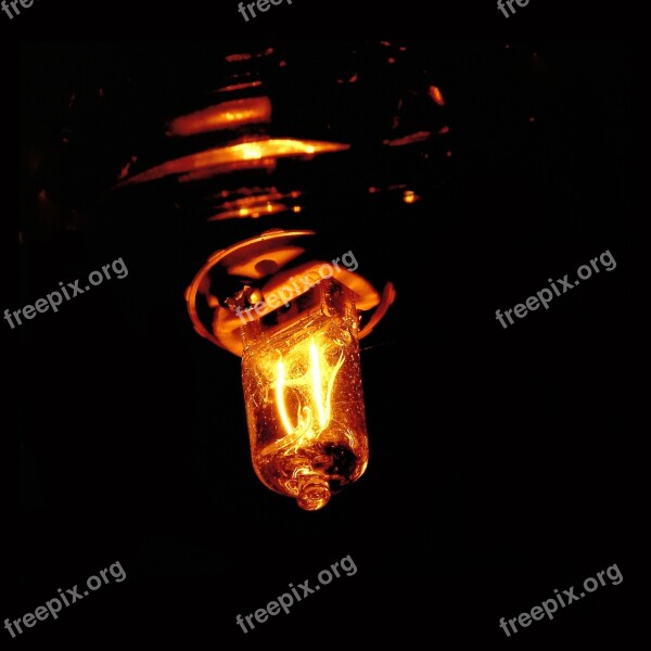 Bulb Energy Electric Night Halogen