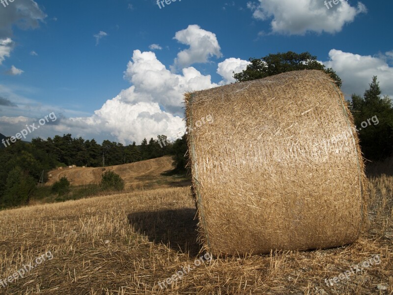 Hay Bale Hay Bales Hills Campaign