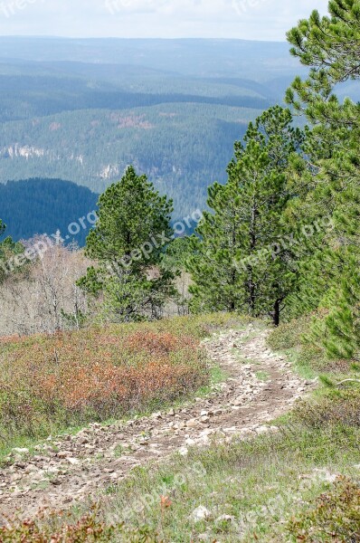 Mountain Trail Trees Trail Mountains Green