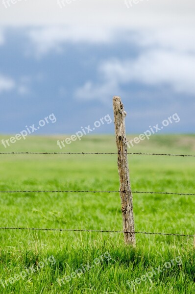 Fence Post Barbed Wire Pasture Green Blue Sky