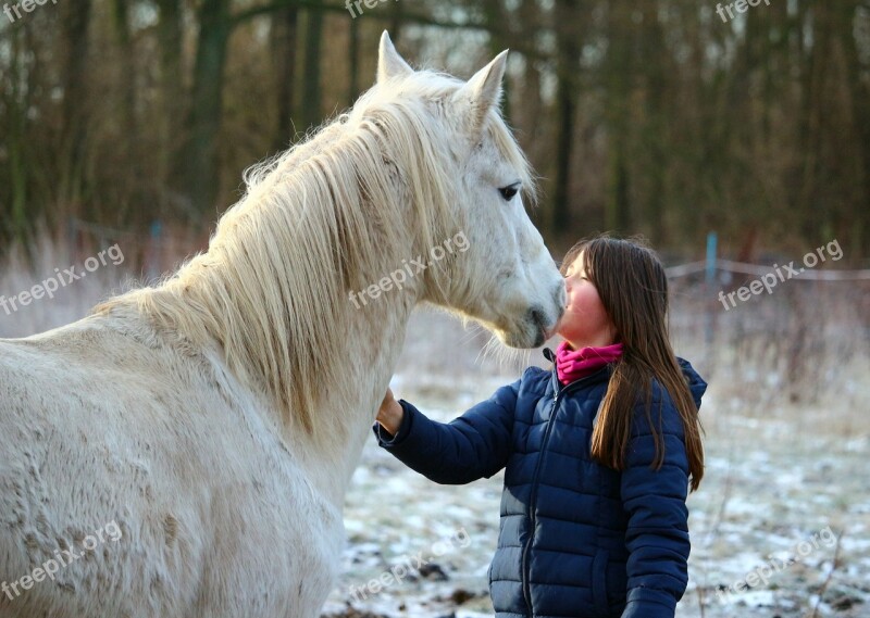 Horse Mold Girl Frost Pasture