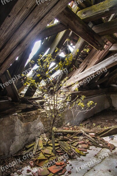 Roof Truss Bricks Storm Damage Old Lapsed