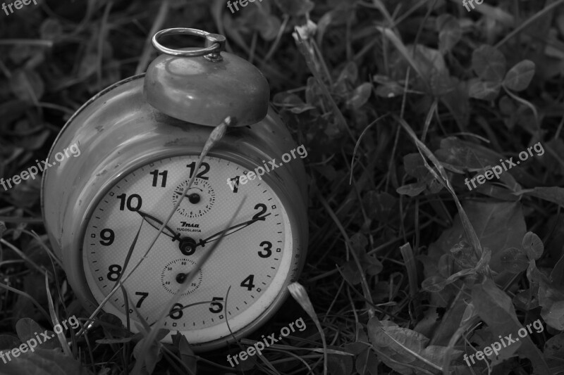 Clock Grass Old Nature Deadline