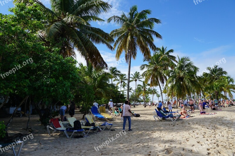 Beach Levantado Bacardi Island Caribbean Free Photos