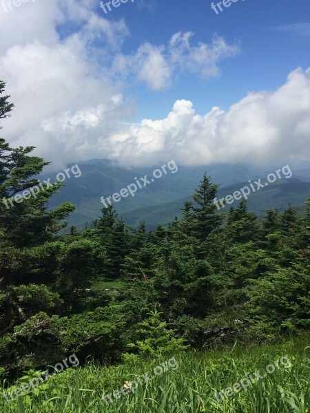 North Carolina Black Mountains Pine Trees Mountains Clouds Summer