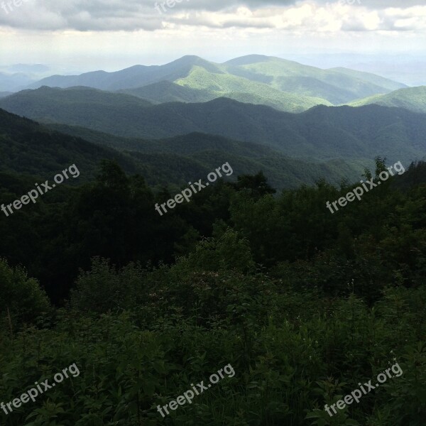 Black Mountains North Carolina Mountain Landscape Mountain Range Forest Trees