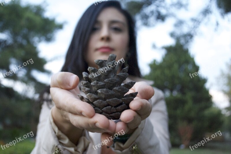 Holding Pinecone Woman Hold Pine