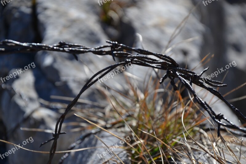 Barbed Wire Fence Rust Freedom Mountain