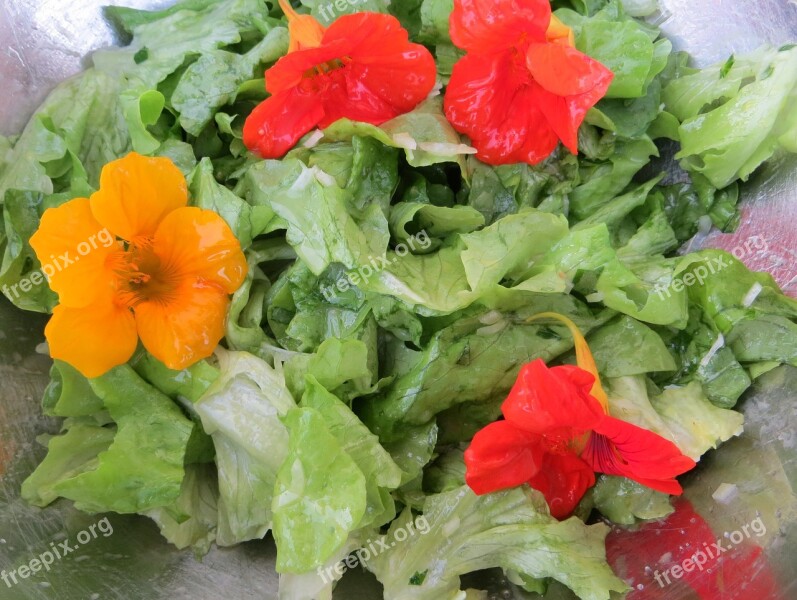 Salad Nasturtium Flowers Free Photos