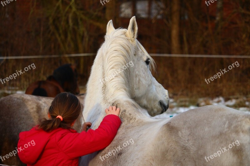 Horse Mold Girl Friendship Winter