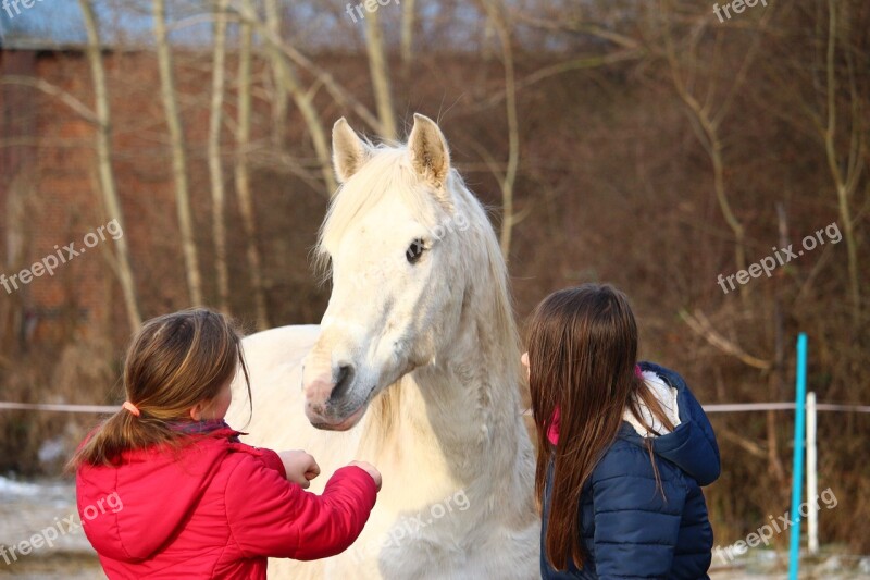 Horse Mold Friendship Girl Winter