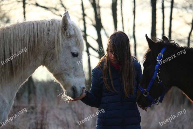 Horse Mold Girl Friendship Foal