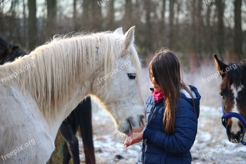 Horse Mold Winter Mane Girl