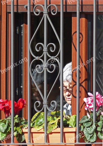 Window Grating Older Person Flowers Free Photos