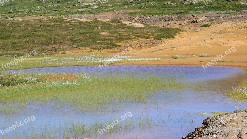 The Tailings Impoundment Eriophorum Shallow Water Pond Shoal