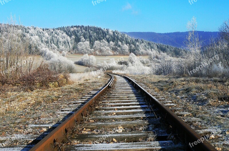 Tracks Winter Frost Nature Snow