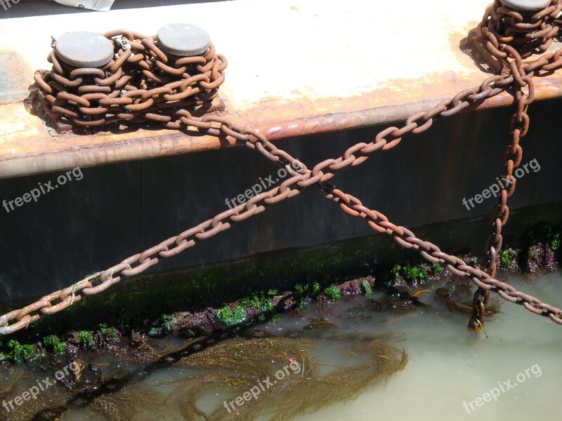 Iron Chain Steel Rust Seaweed