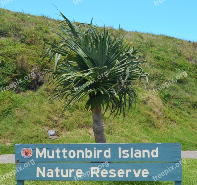 Muttonbird Australia Muttonbird Island Nature Reserve Free Photos