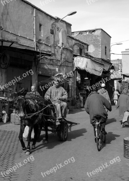 Marrakesh Morocco Moroccan Marrakech Travel