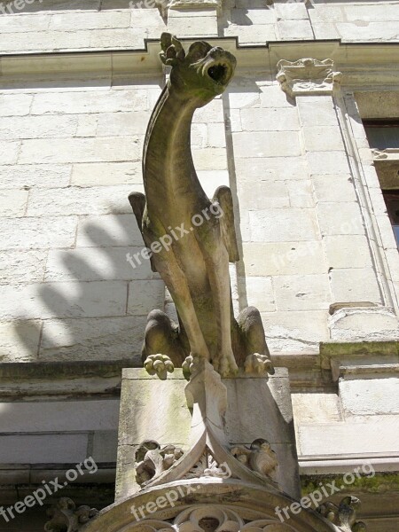 Gargoyle St Gatien Cathedral Tours Indre-et-loire France