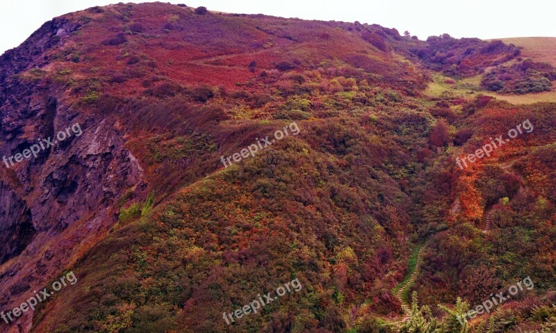 Landscape Heather Purple Scenic Nature