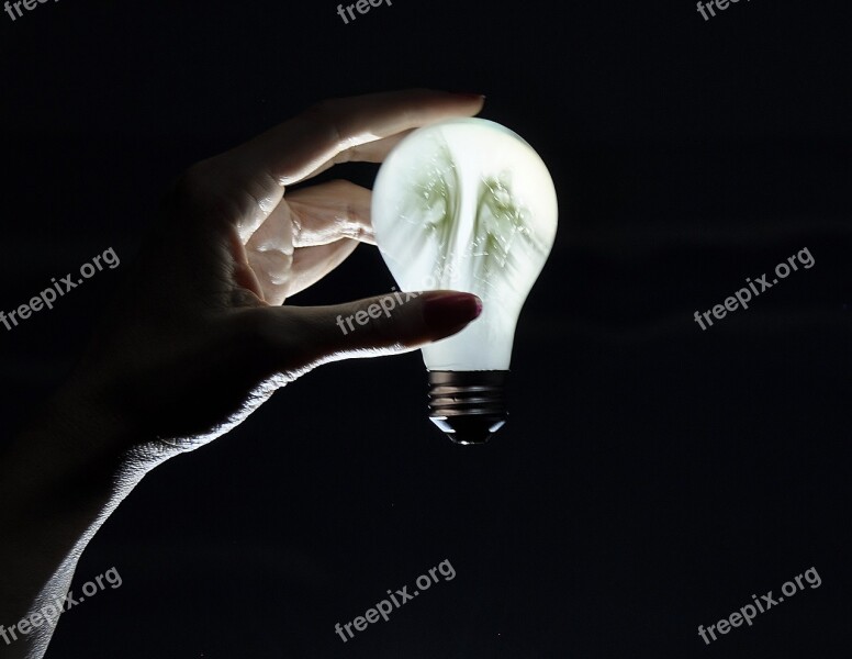 Light Bulb Light Hand Electricity Free Photos