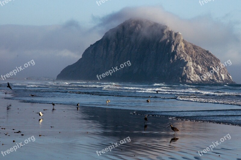 California Nature Reserve Pacific Sea Sea Birds