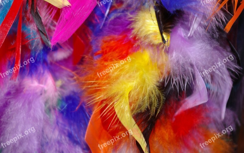 Feather Colorful Feathers Carnival Stoles Colorful