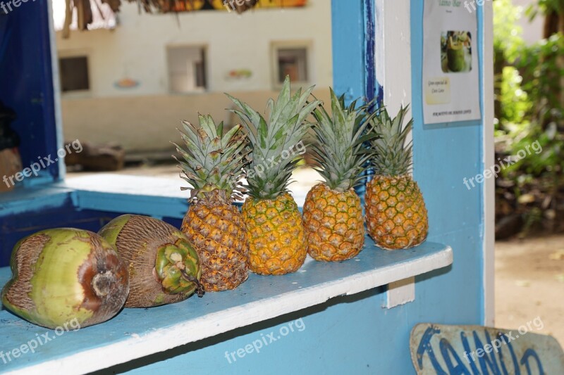 Pineapple Levantado Island Caribbean Eat