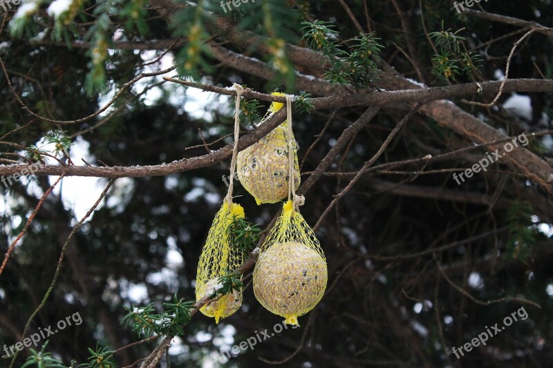 Winter Bird Feeder Bird Feeding Garden Mag