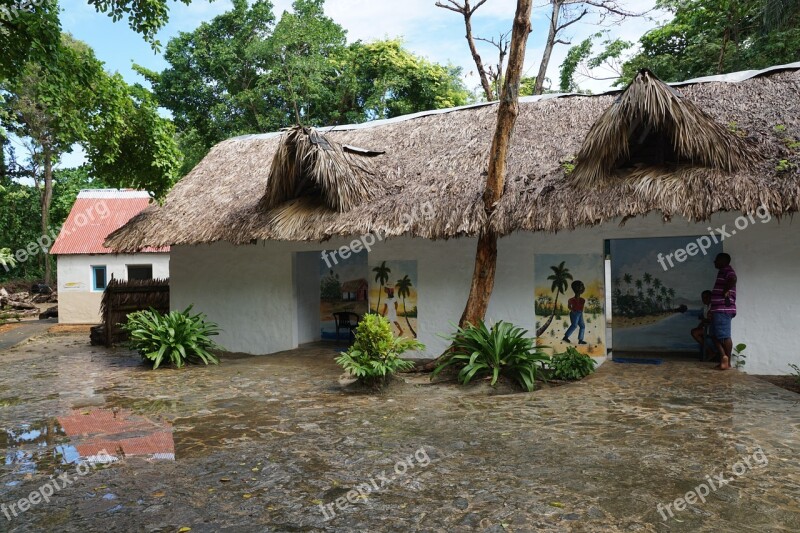 Levantado Bacardi Island Caribbean Palm Trees Beach