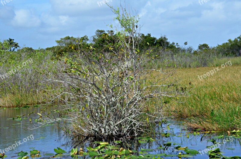 Everglades National Park Florida Key West Park