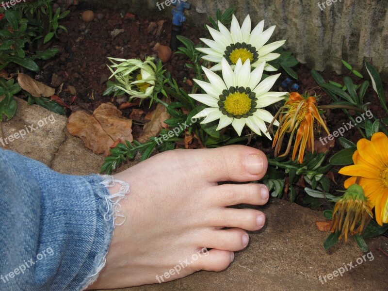 Foot Flower Nature Flowers Spring