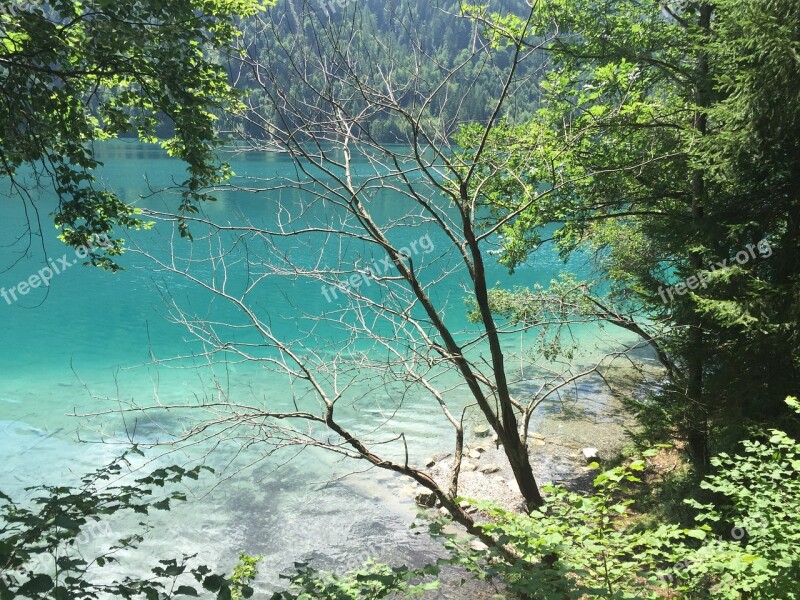 Lake Lake Weissensee Green Water Summer Free Photos