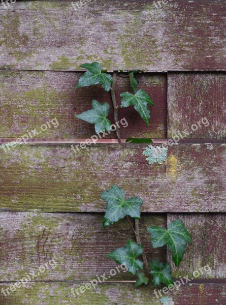 Braided Fence Background Texture Aged Backdrop