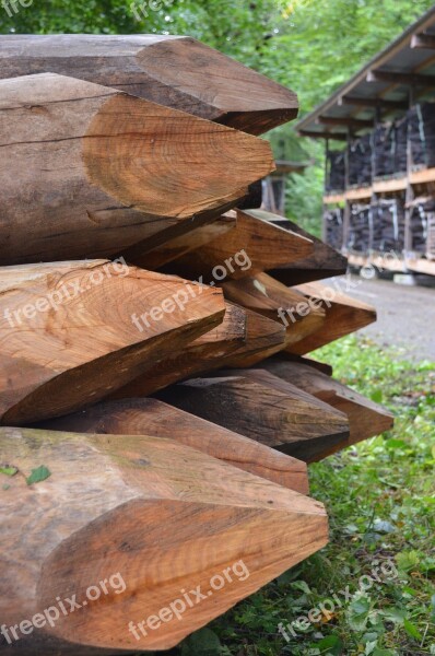 Wood Trees Nature Log Tribe