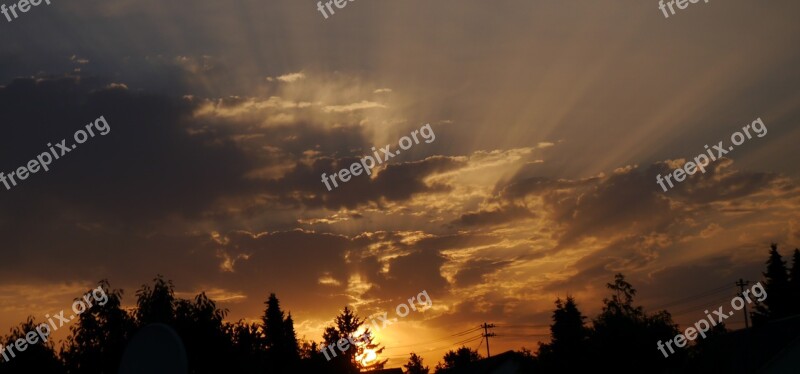 Sun Sunset Sky Abendstimmung Tree