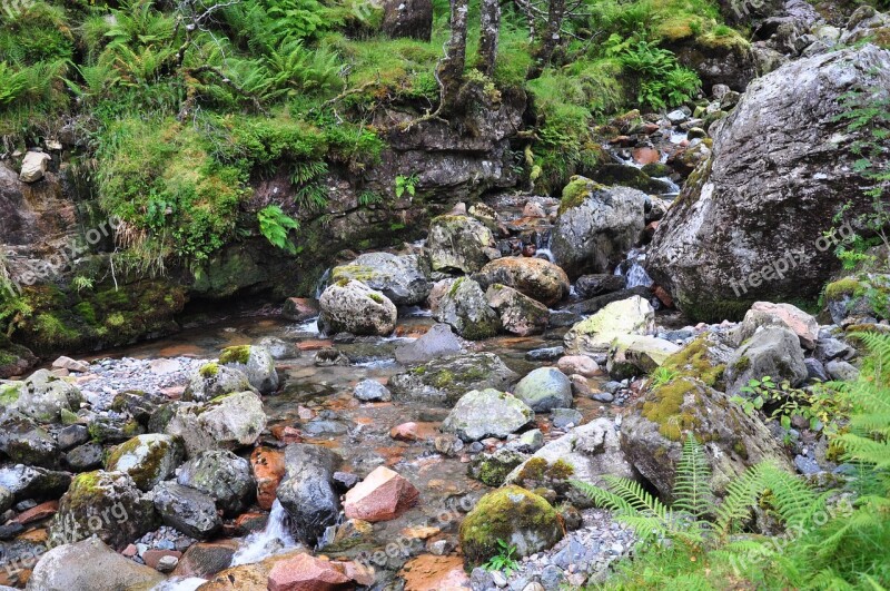 Scotland Hidden Valley Ballachulish Plants Green Nature