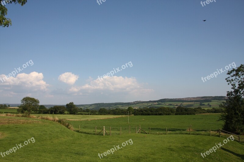 Wales Reported Graze Sheep Flower Meadow