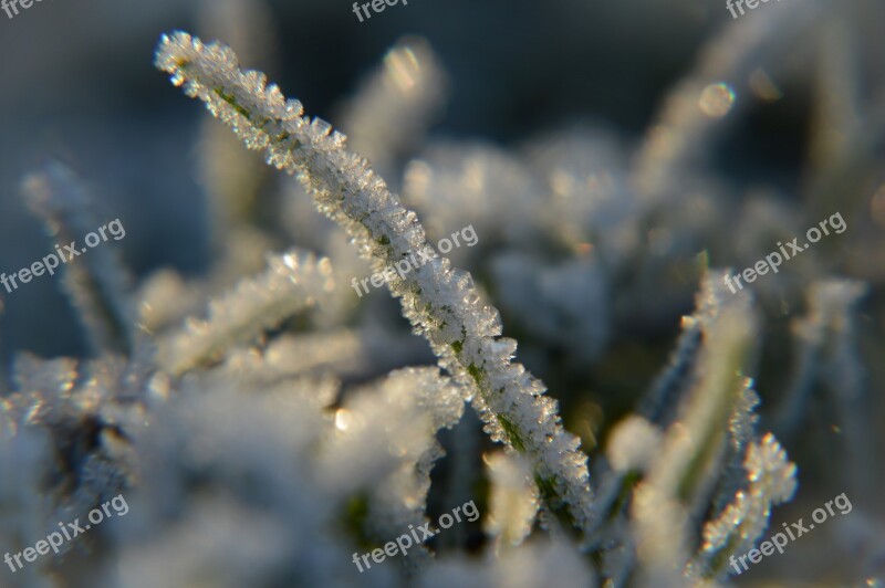 Frost Snow Ice Crystals Winter White