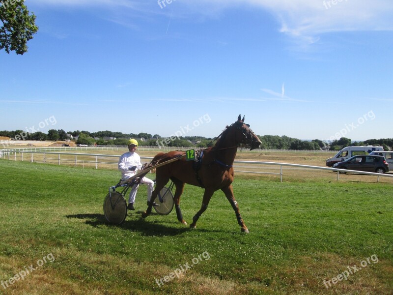 Horse Echauffement Hippodrome Free Photos