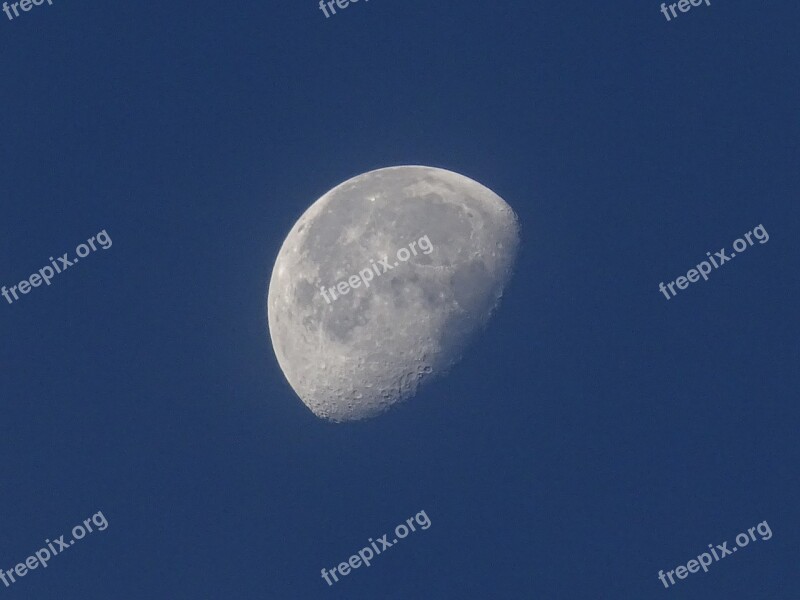 Moon Sky Astronomy Day Half Moon