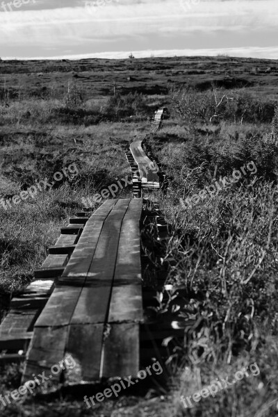 Footbridge Mountain Hiking Trail Free Photos