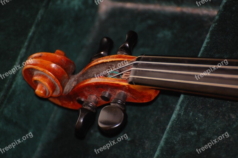 Violin Worm Snail Violin Musical Instrument Free Photos