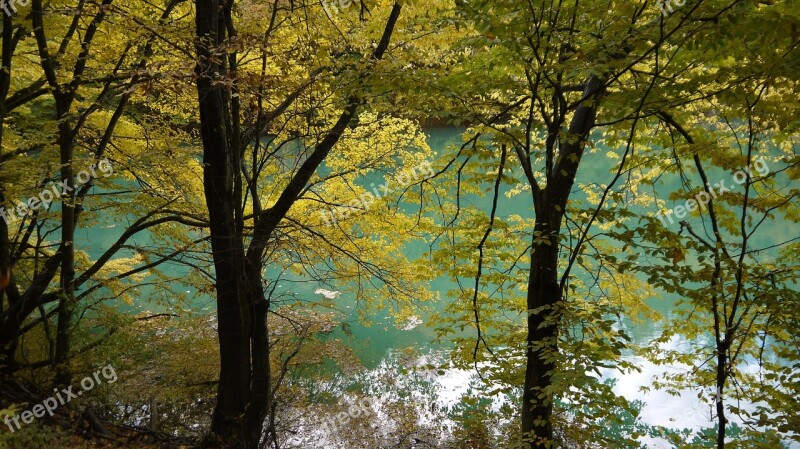 Green Lake Nature Landscape Trees