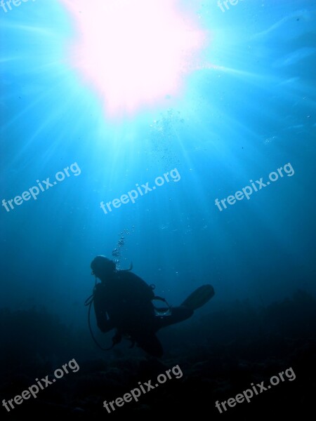 Diver In Sunlight Scuba Underwater Free Photos